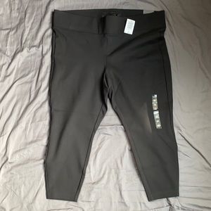 Torrid Studio Ponte Stretch Pixie Pant